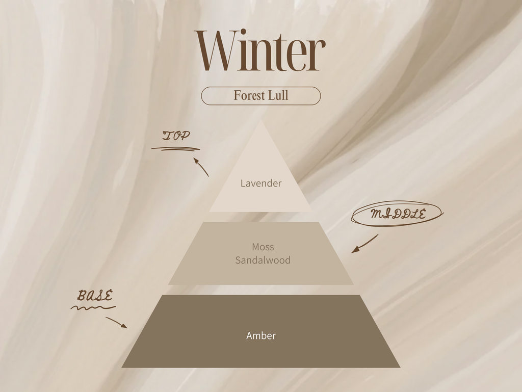 Winter - Forest Lull