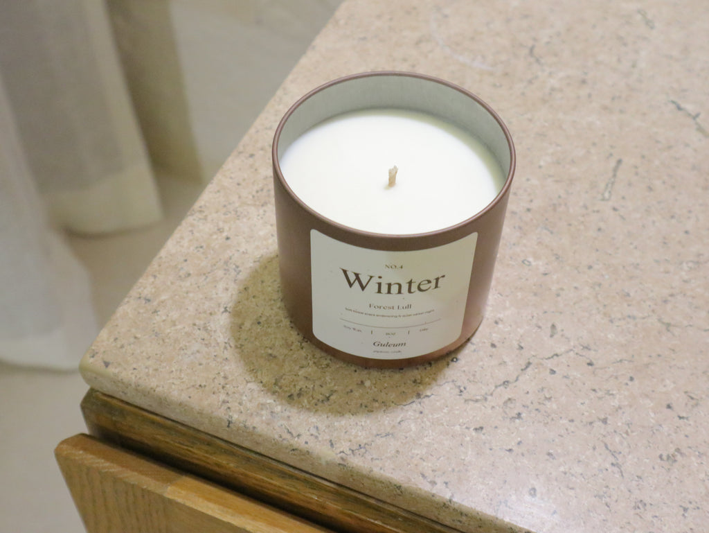 Winter - Forest Lull