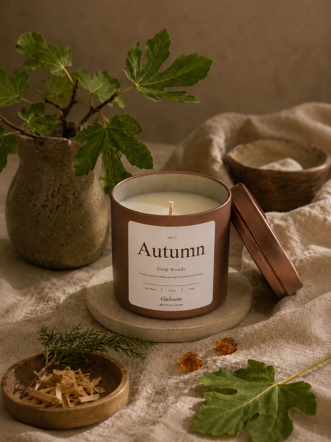 Autumn Deep Woods