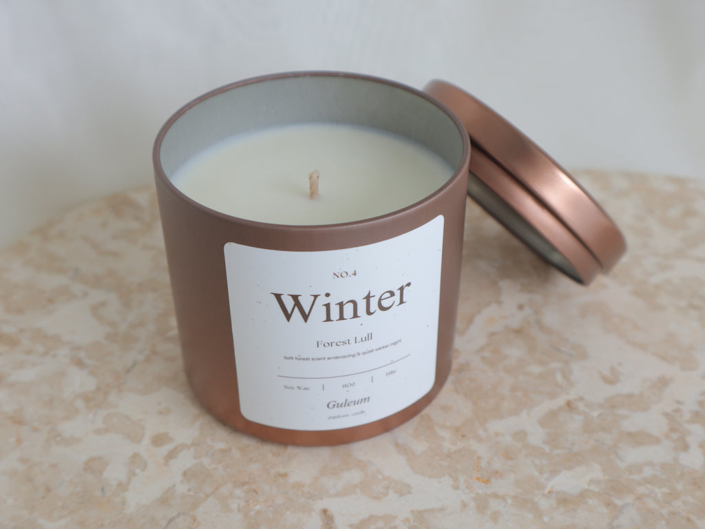 Winter - Forest Lull